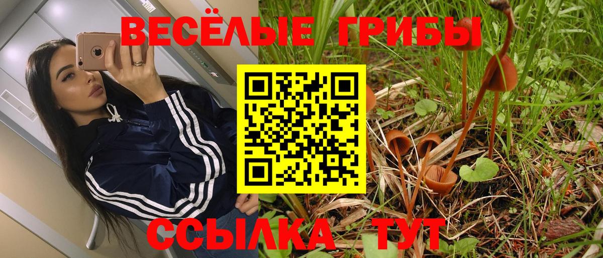 Псилоцибиновые грибы мицелий  Псилоцибиновые грибы MAGIC MUSHROOMS  Киреевск  Вход с VPN 